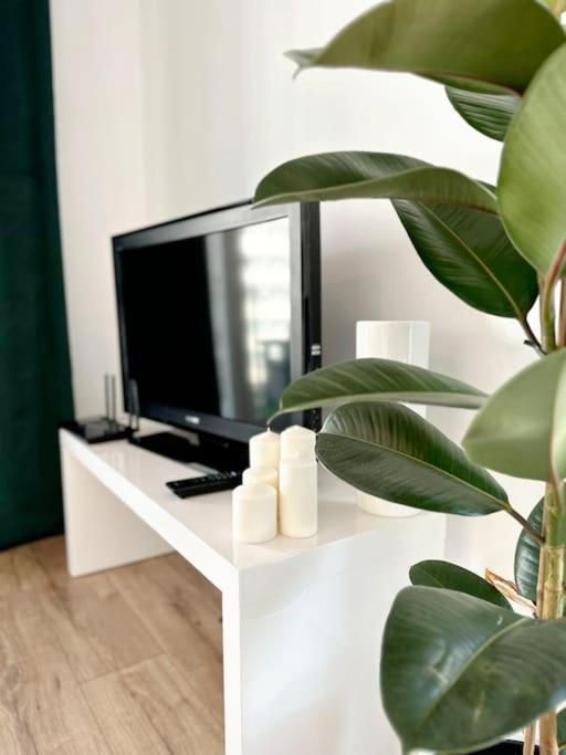Dzielnica Parkowa #7 Apartment เชชูฟ ภายนอก รูปภาพ